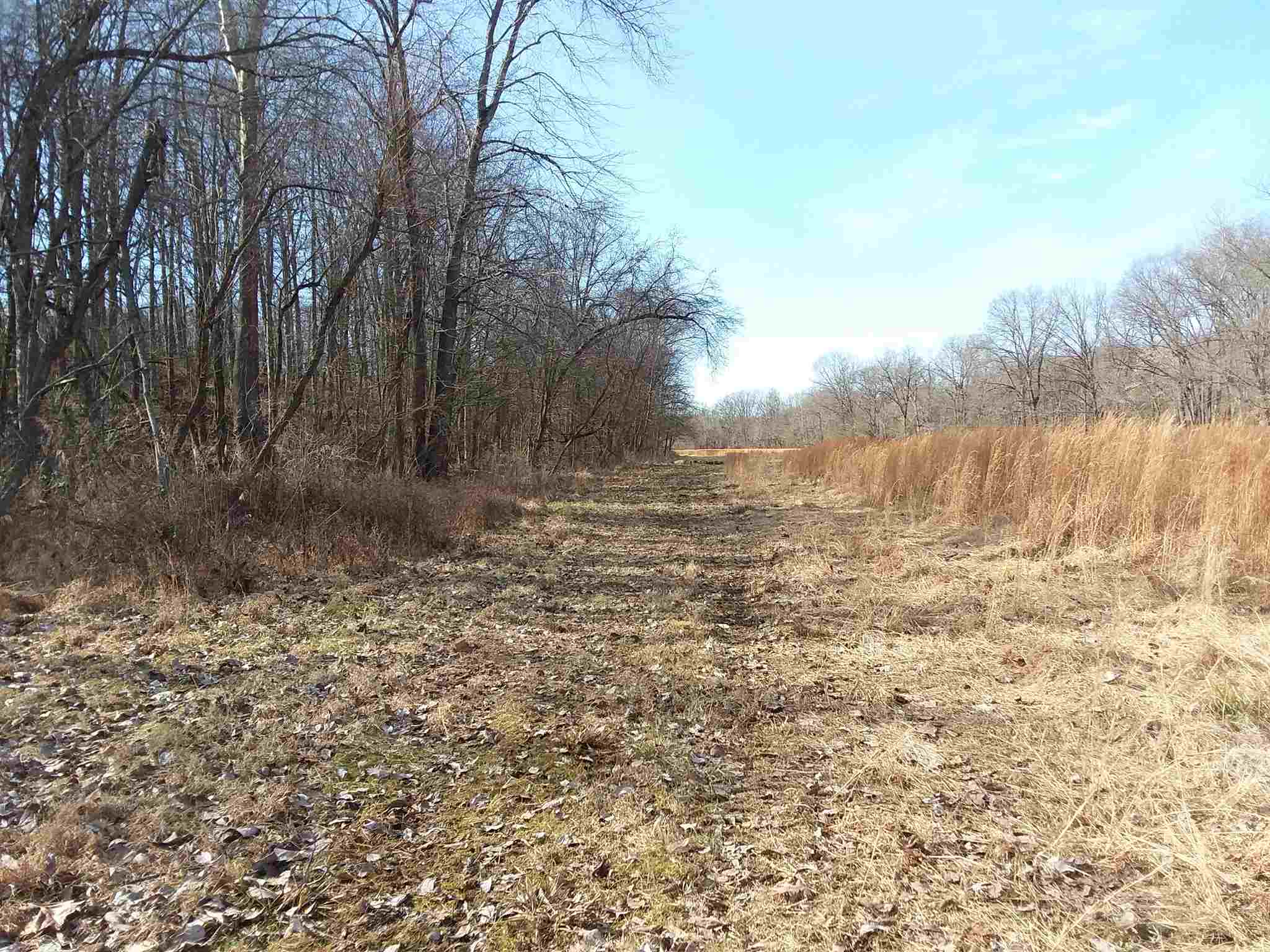 7500 Selvin Road Dale, IN 47523 - Photo 8 of 15