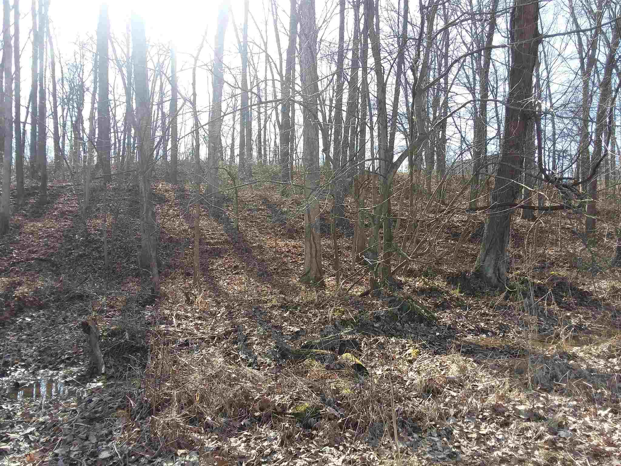 7500 Selvin Road Dale, IN 47523 - Photo 9 of 15