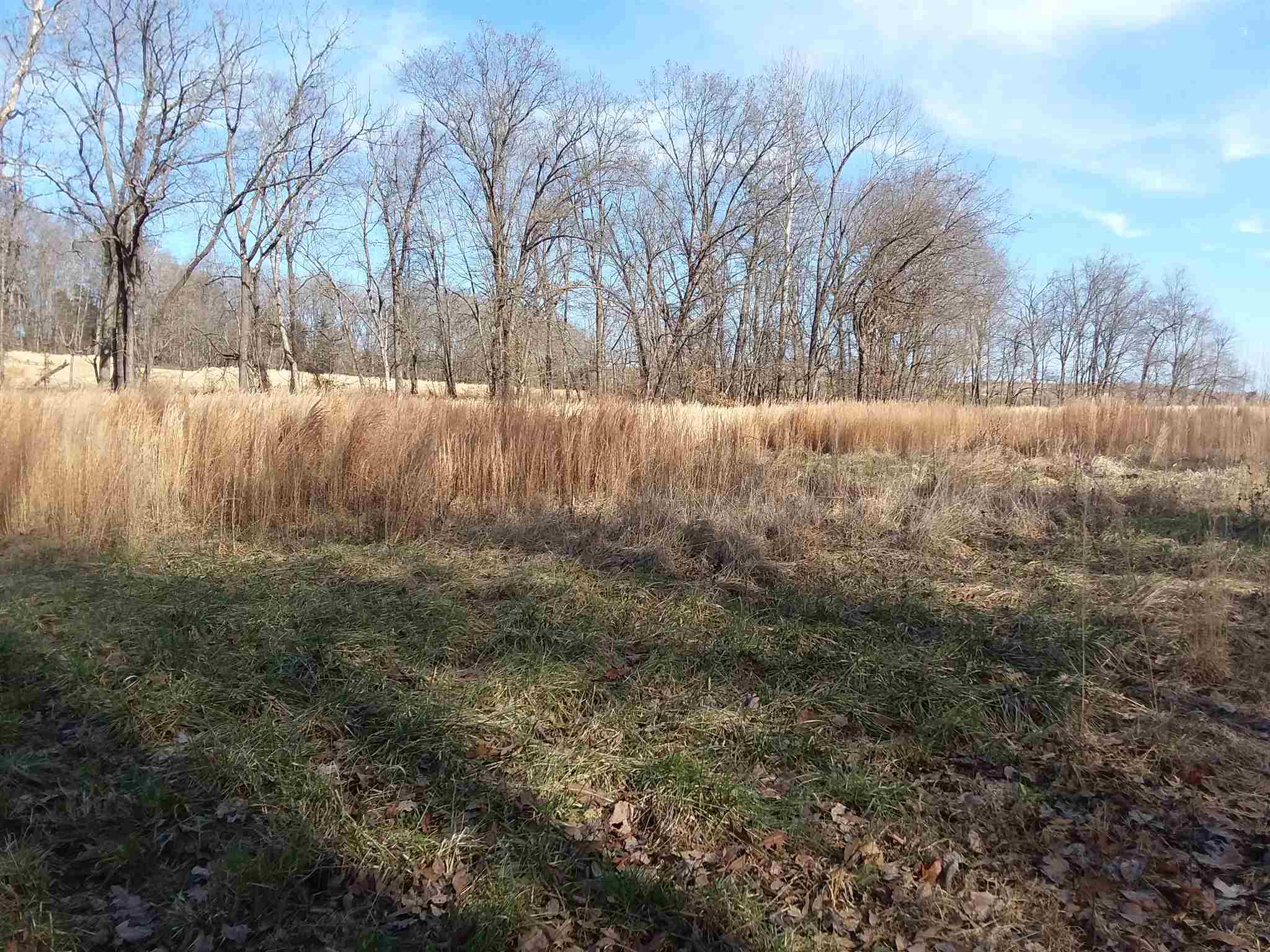 7500 Selvin Road Dale, IN 47523 - Photo 10 of 15
