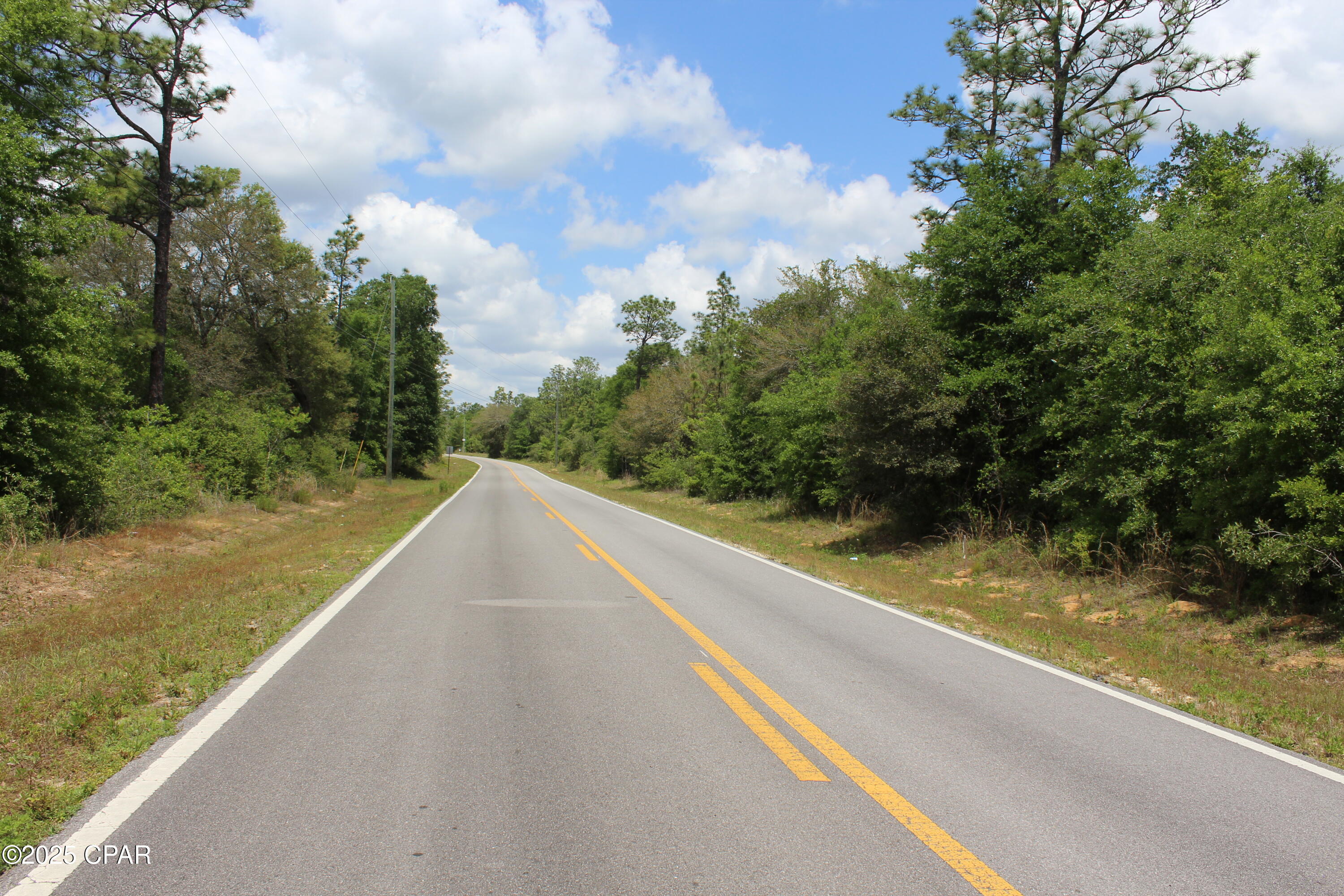 Lot 5 Arnone Lane Chipley, FL 32428 - Photo 8 of 11
