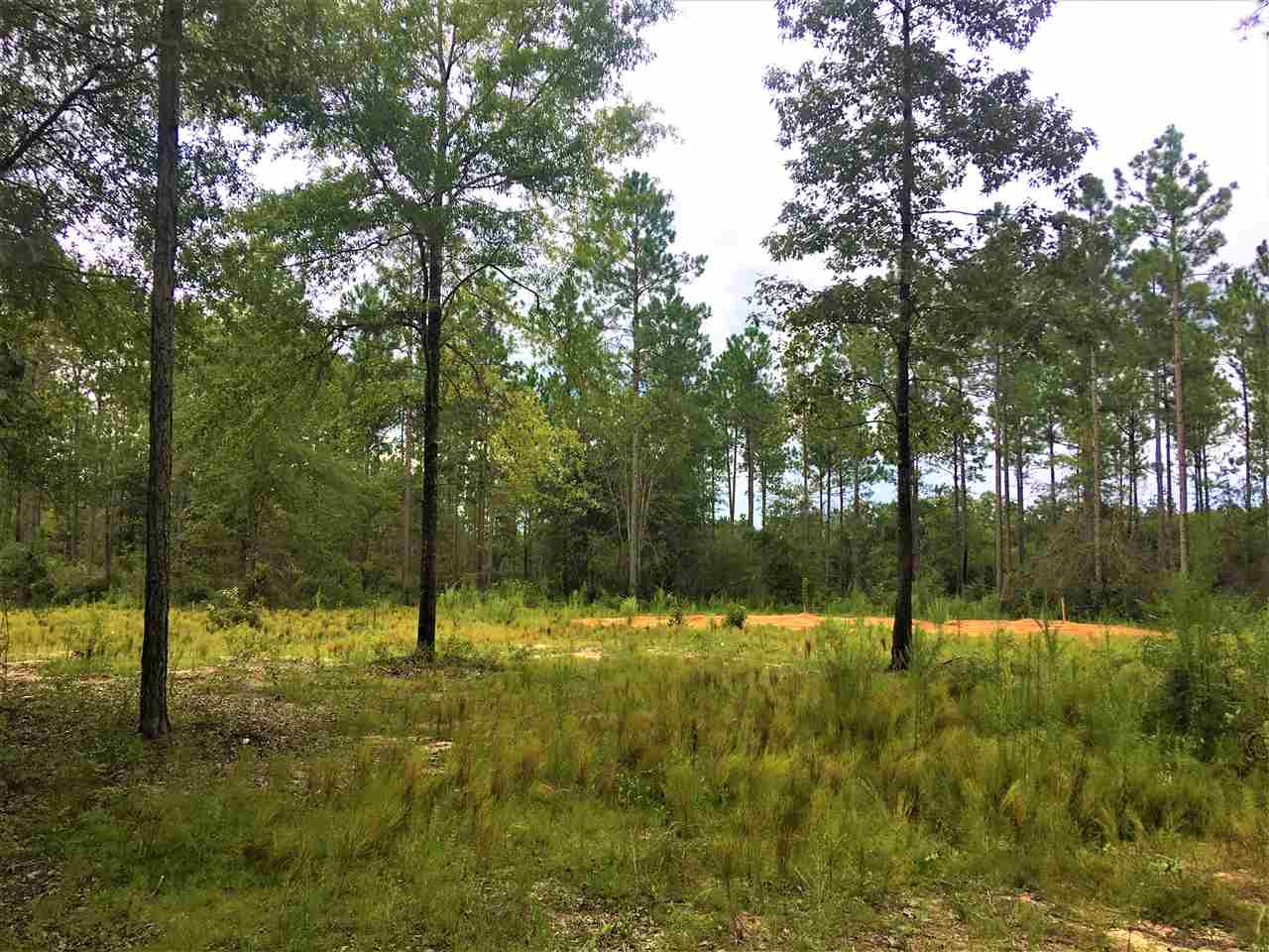 0 Dyas Road Perdido, AL 36562 - Photo 5 of 7