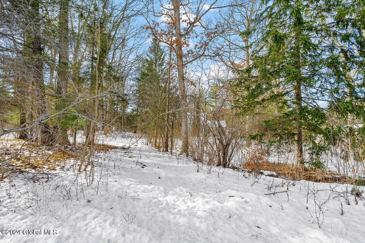 2388 River Road Niskayuna, NY 12309 - Photo 5 of 9 2388 River Road Niskayuna NY Exteriors 0