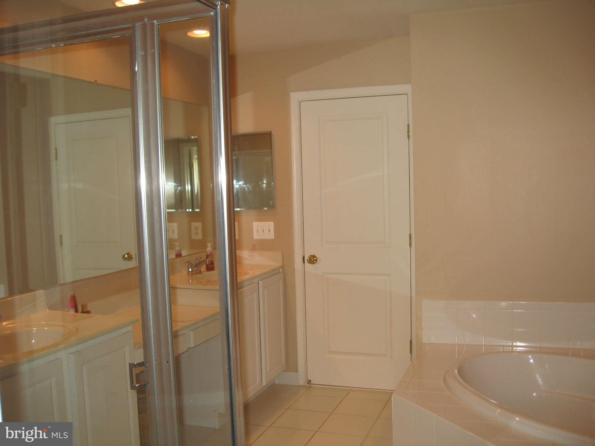 9004 Ribbon Falls Loop Bristow, VA 20136 - Photo 15 of 27 Bath (Master)