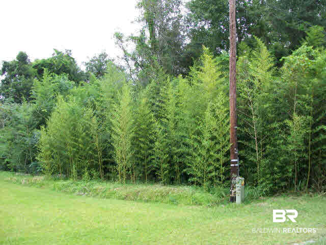 7055 Old Shell Road Mobile, AL 36608 - Photo 1 of 1
