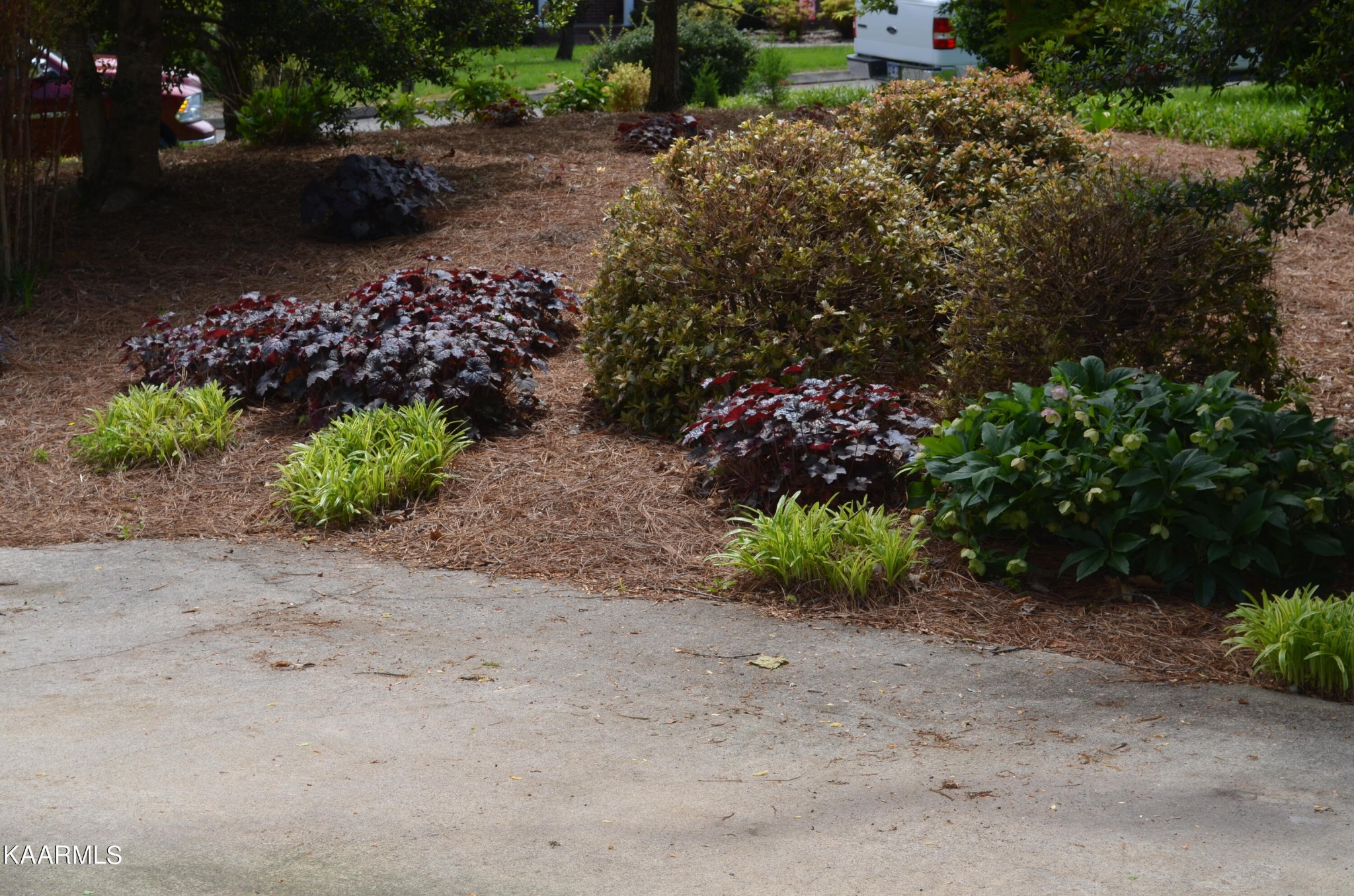 111 Dover Lane Oak Ridge, TN 37830 - Photo 13 of 60 a view of a garden with a lot of plants and flowers