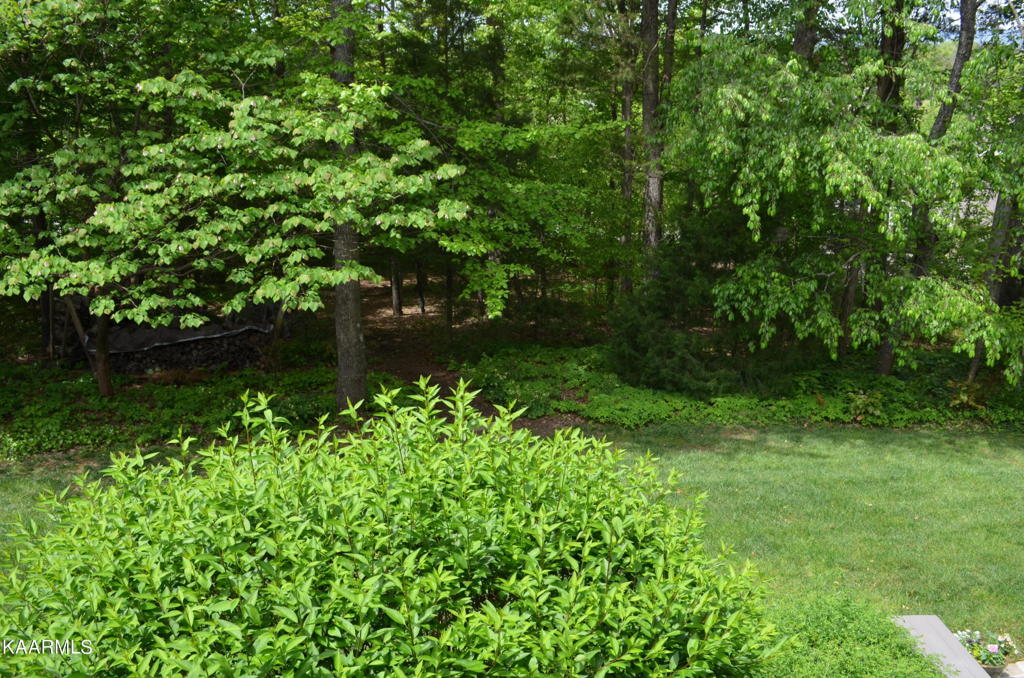 111 Dover Lane Oak Ridge, TN 37830 - Photo 15 of 60 a view of a yard