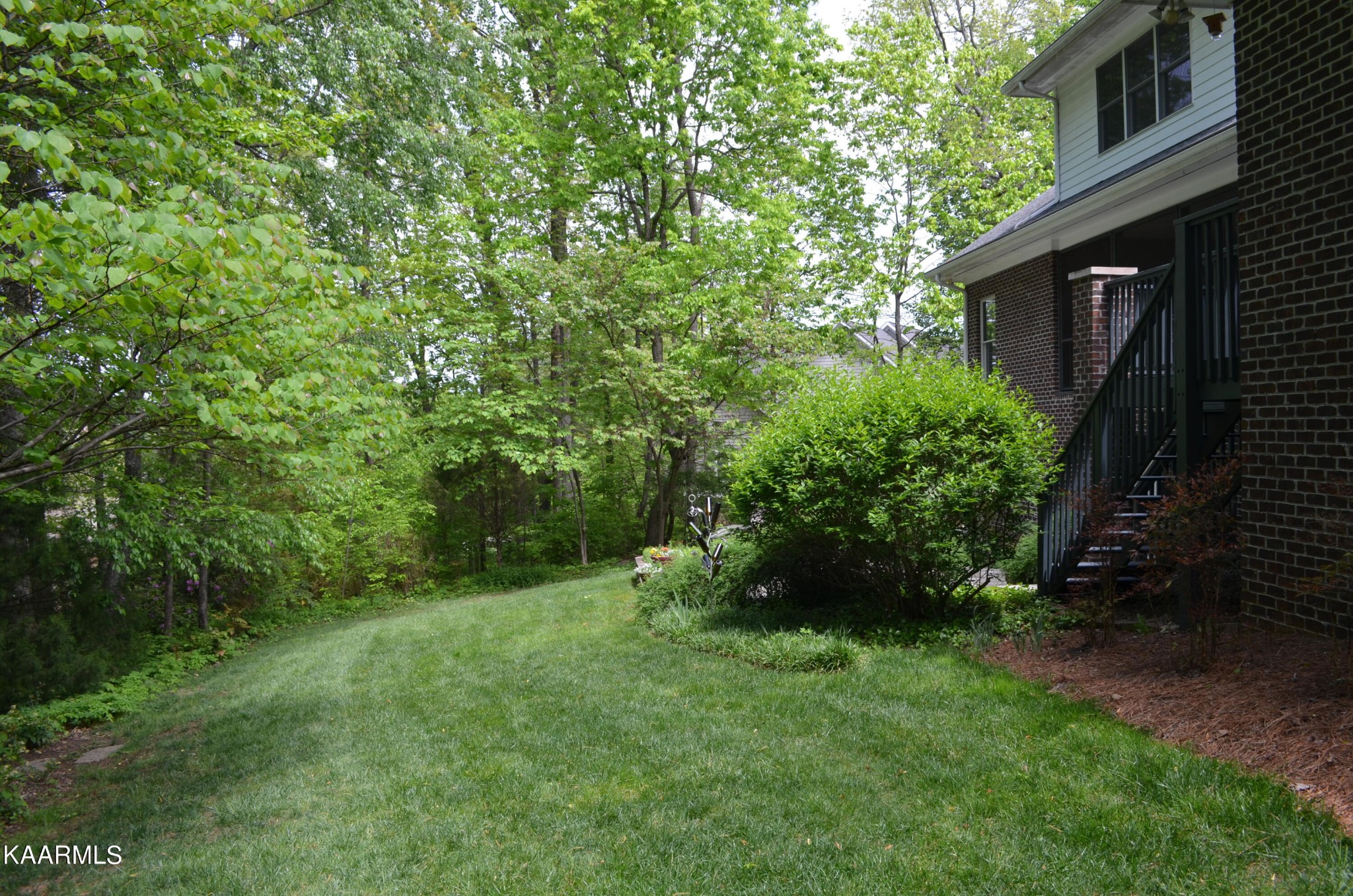 111 Dover Lane Oak Ridge, TN 37830 - Photo 10 of 60 a view of a backyard with potted plants and large tree