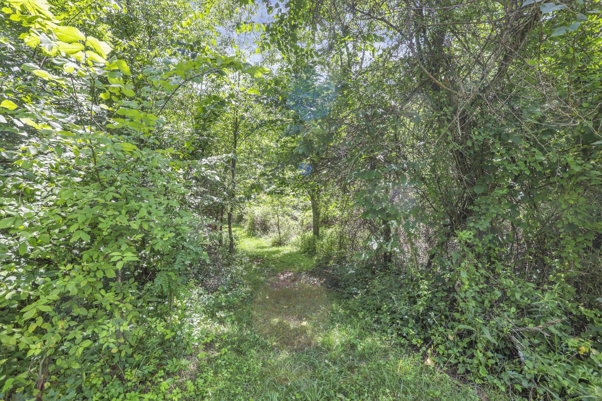 18750 Griffith Road Logan, OH 43138 - Photo 30 of 38 52-web-or-mls-LO5A7914