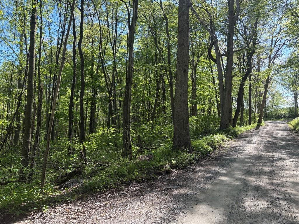 Lot 3-4 Killarney Road Mill Run, PA 15464 - Photo 13 of 29 a view of outdoor space and trees all around