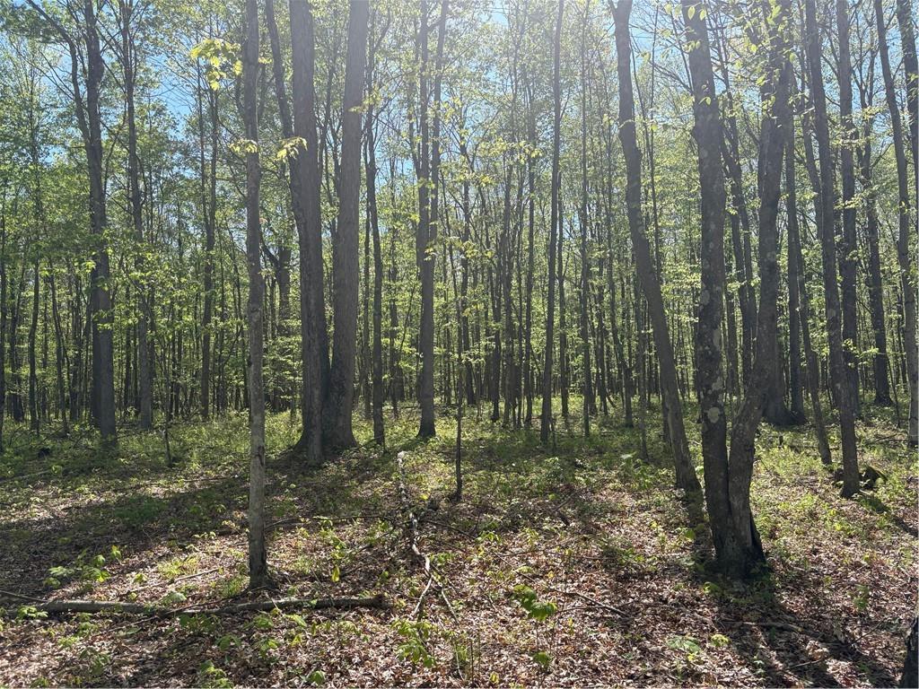 Lot 3-4 Killarney Road Mill Run, PA 15464 - Photo 17 of 29 a view of forest