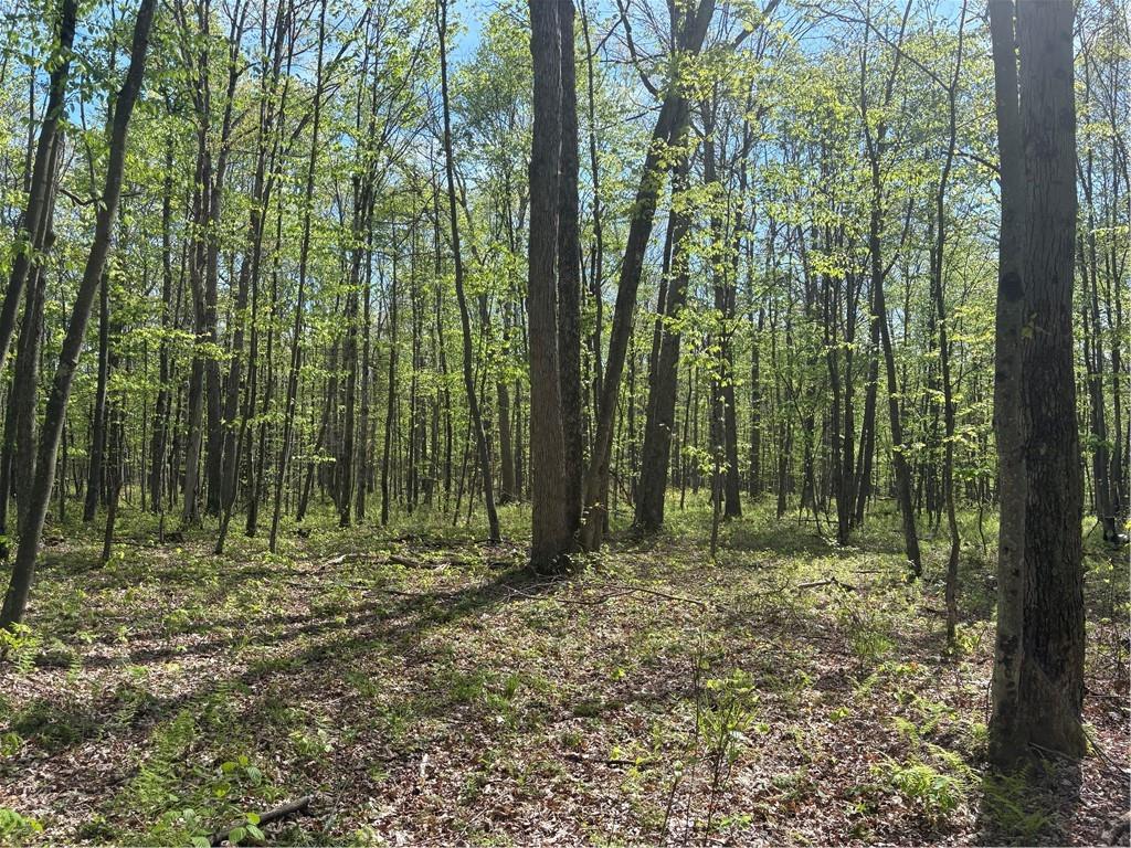 Lot 3-4 Killarney Road Mill Run, PA 15464 - Photo 19 of 29 a view of outdoor space and garden
