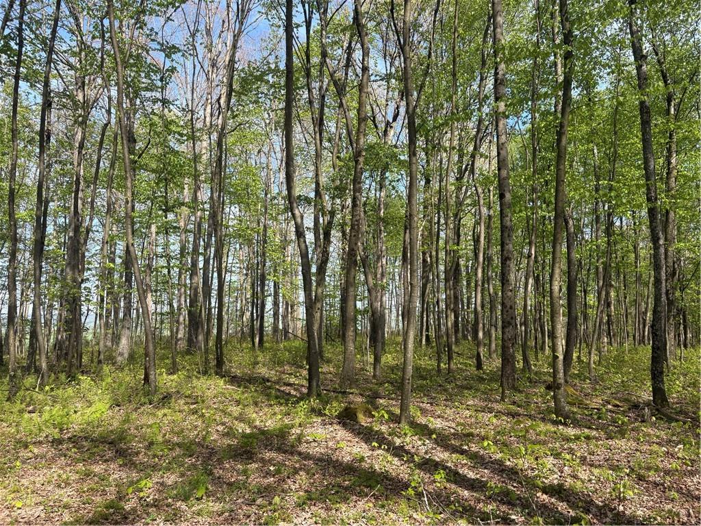 Lot 3-4 Killarney Road Mill Run, PA 15464 - Photo 20 of 29 a view of forest