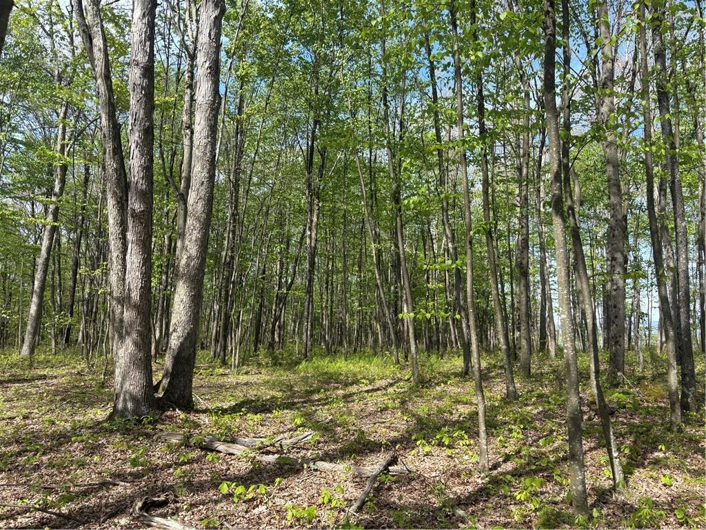 Lot 3-4 Killarney Road Mill Run, PA 15464 - Photo 22 of 29 a view of outdoor space and a garden