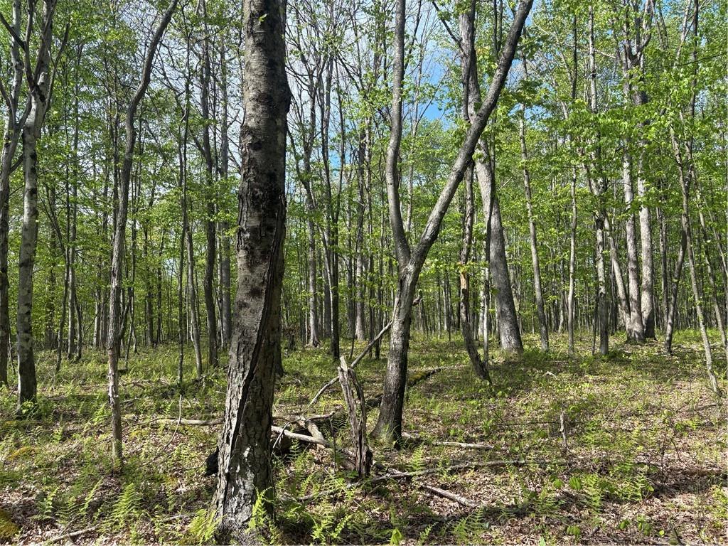 Lot 3-4 Killarney Road Mill Run, PA 15464 - Photo 23 of 29 a view of outdoor space