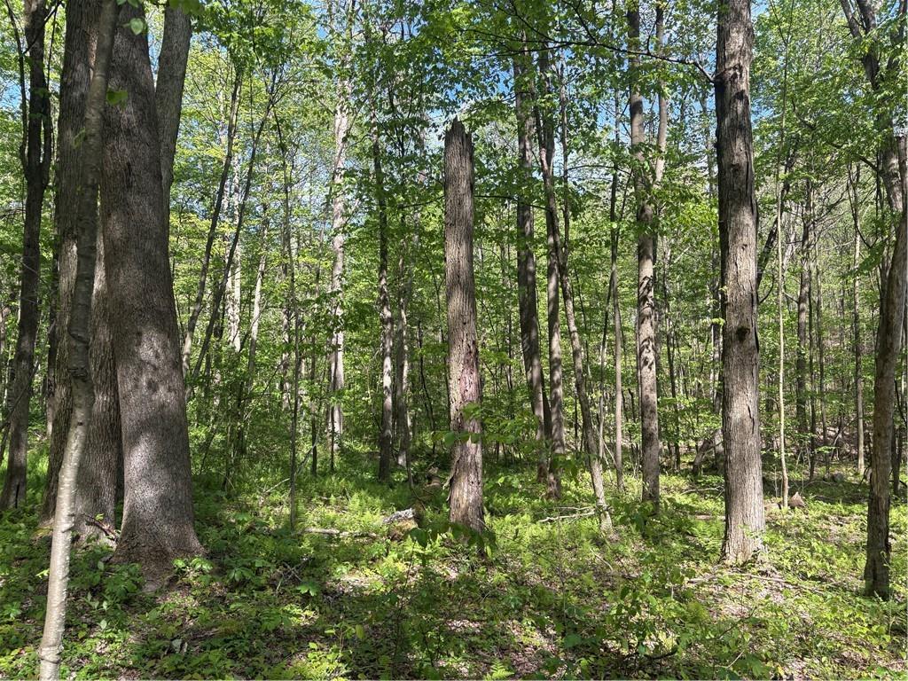 Lot 3-4 Killarney Road Mill Run, PA 15464 - Photo 26 of 29