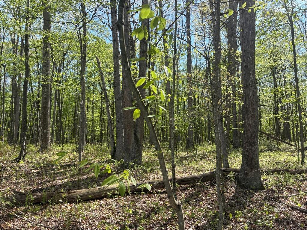 Lot 3-4 Killarney Road Mill Run, PA 15464 - Photo 3 of 29 a view of forest