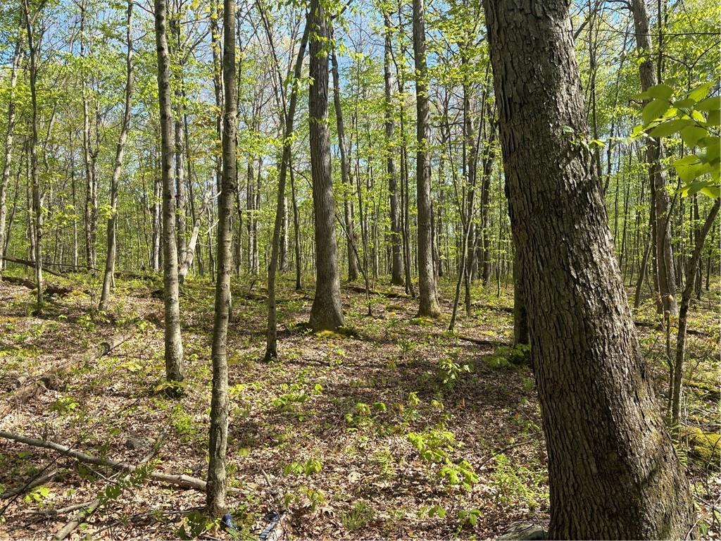 Lot 3-4 Killarney Road Mill Run, PA 15464 - Photo 7 of 29