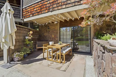 a view of a garden with a tree