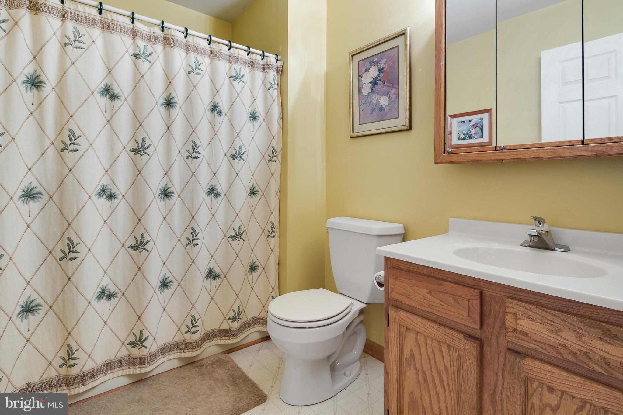 1436 Oldfield Point Road Elkton, MD 21921 - Photo 18 of 29 Hall bath