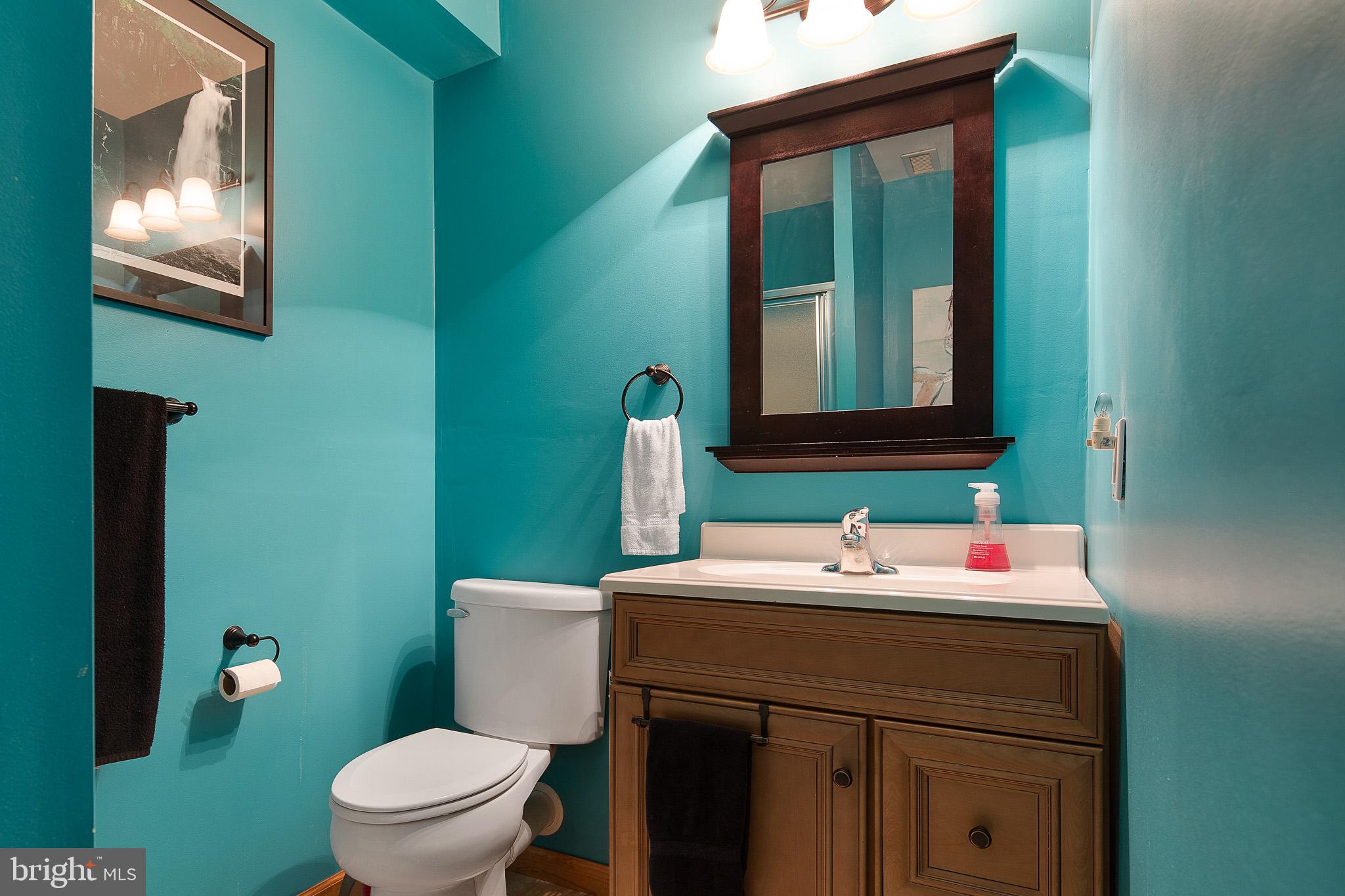1436 Oldfield Point Road Elkton, MD 21921 - Photo 20 of 29 Full bath on lower level