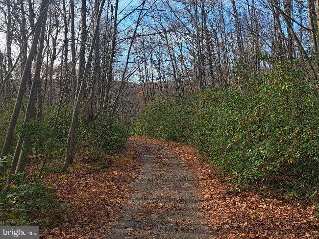 Fox Tail Road Oakland, MD 21550 - Photo 2 of 4 a big yard with lots of green space and house
