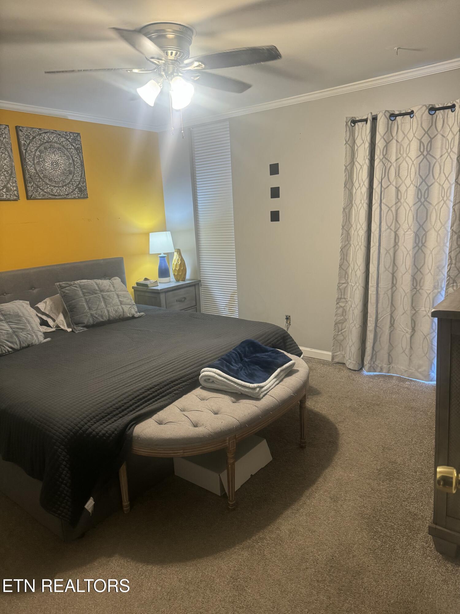 48 Valley Forge Drive Oak Ridge, TN 37830 - Photo 20 of 27 Master Bedroom