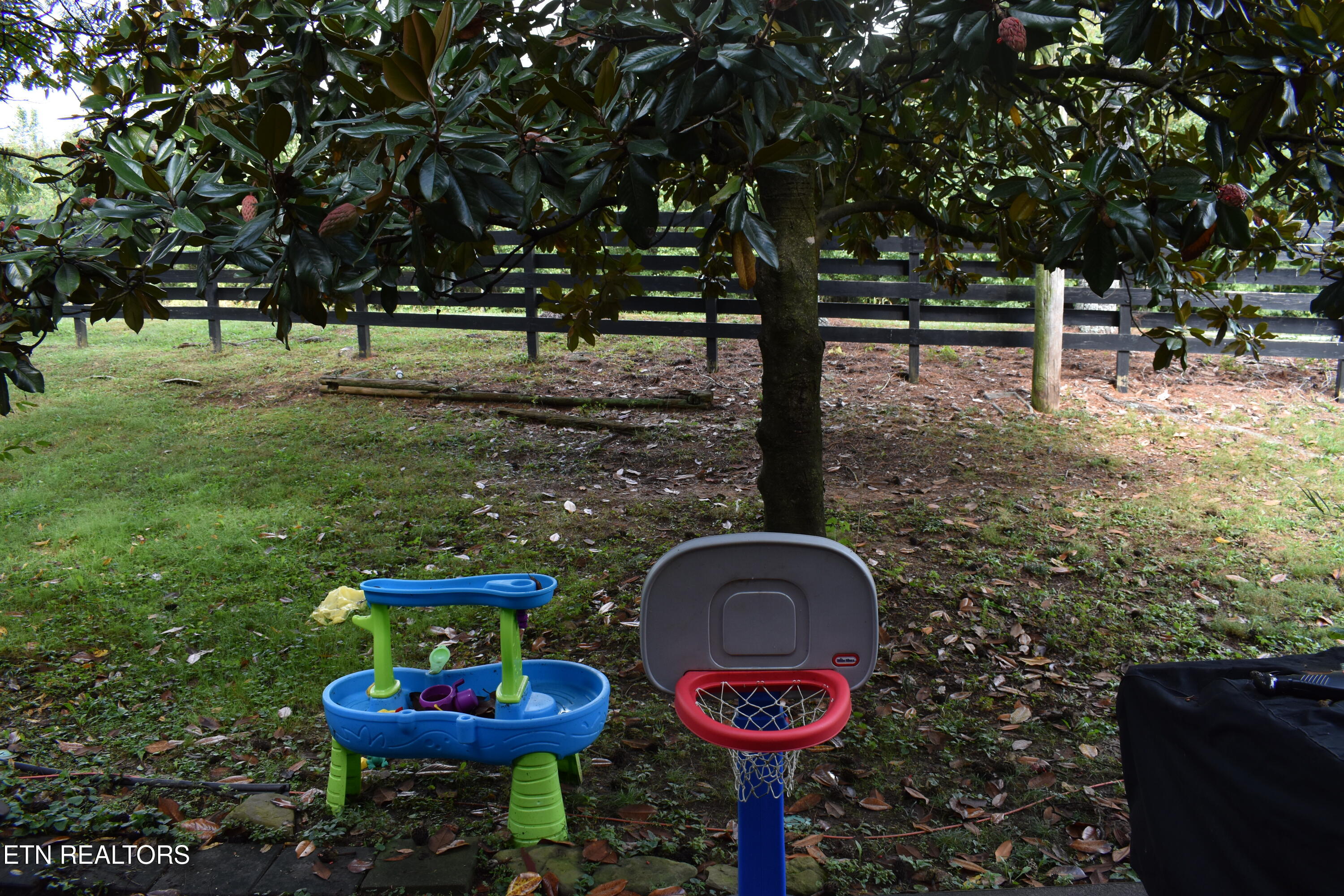 48 Valley Forge Drive Oak Ridge, TN 37830 - Photo 4 of 27 Rear View