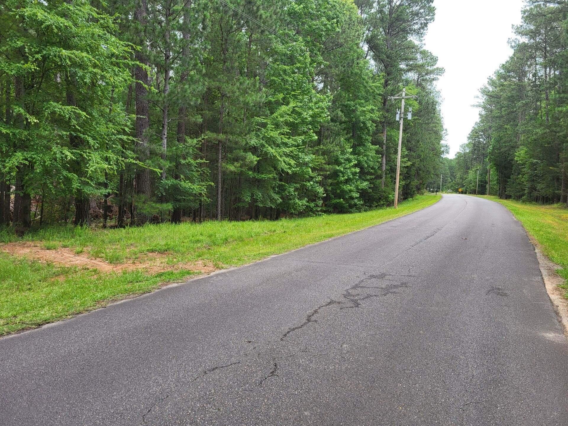 0 Bordeaux Road McCormick, SC 29835 - Photo 5 of 13