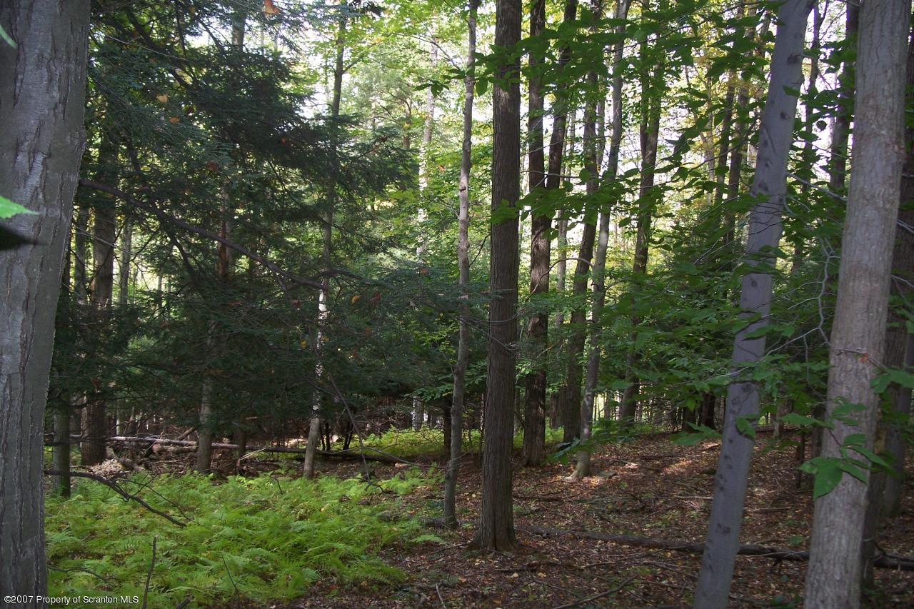 Daly Road Montrose, PA 18801 - Photo 3 of 6 Hardwoods