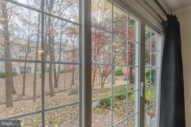a view of a garden from a window