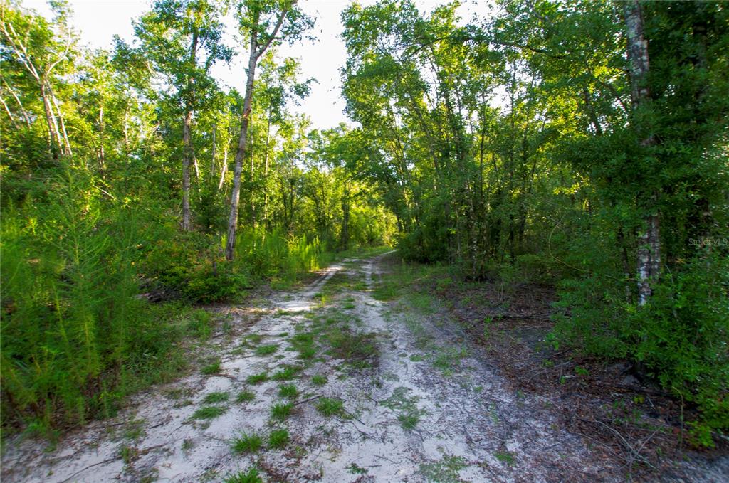 18233 185th Road Live Oak, FL 32060 - Photo 57 of 99 a big yard with lots of green space and tiles