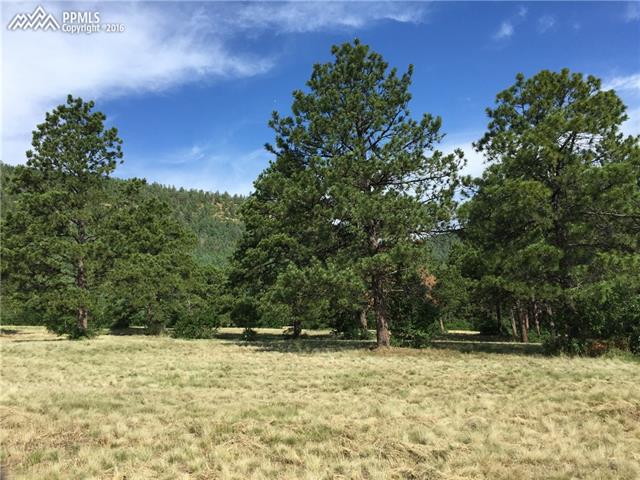 Redstone Ridge Road Monument, CO 80132 - Photo 7 of 20