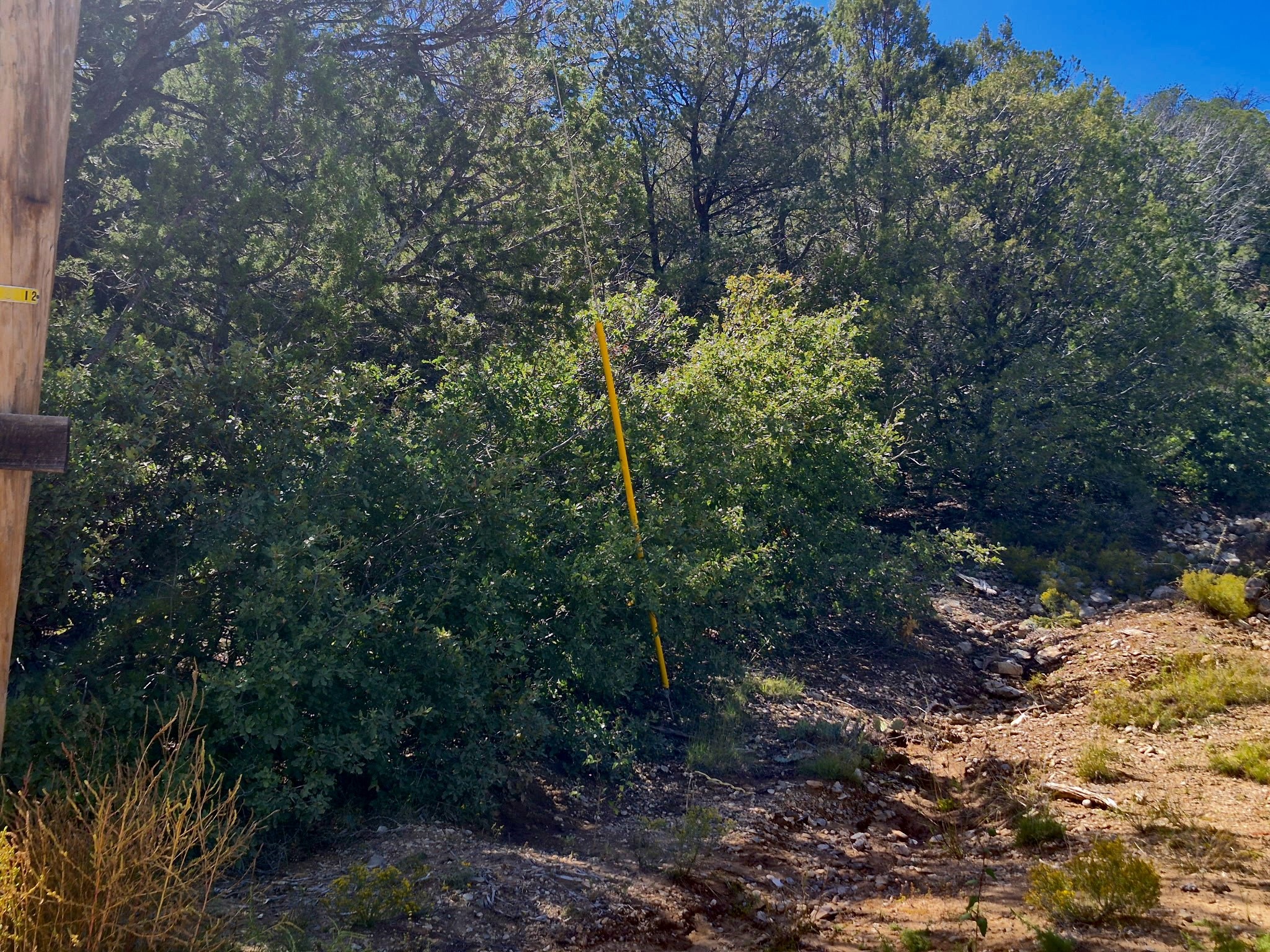 9 Peterson Road Edgewood, NM 87015 - Photo 8 of 9