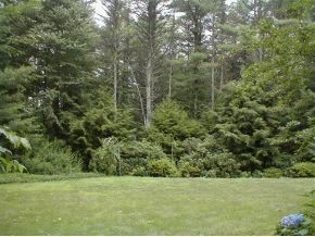 3 Tall Pines Road Durham, NH 03824 - Photo 9 of 10