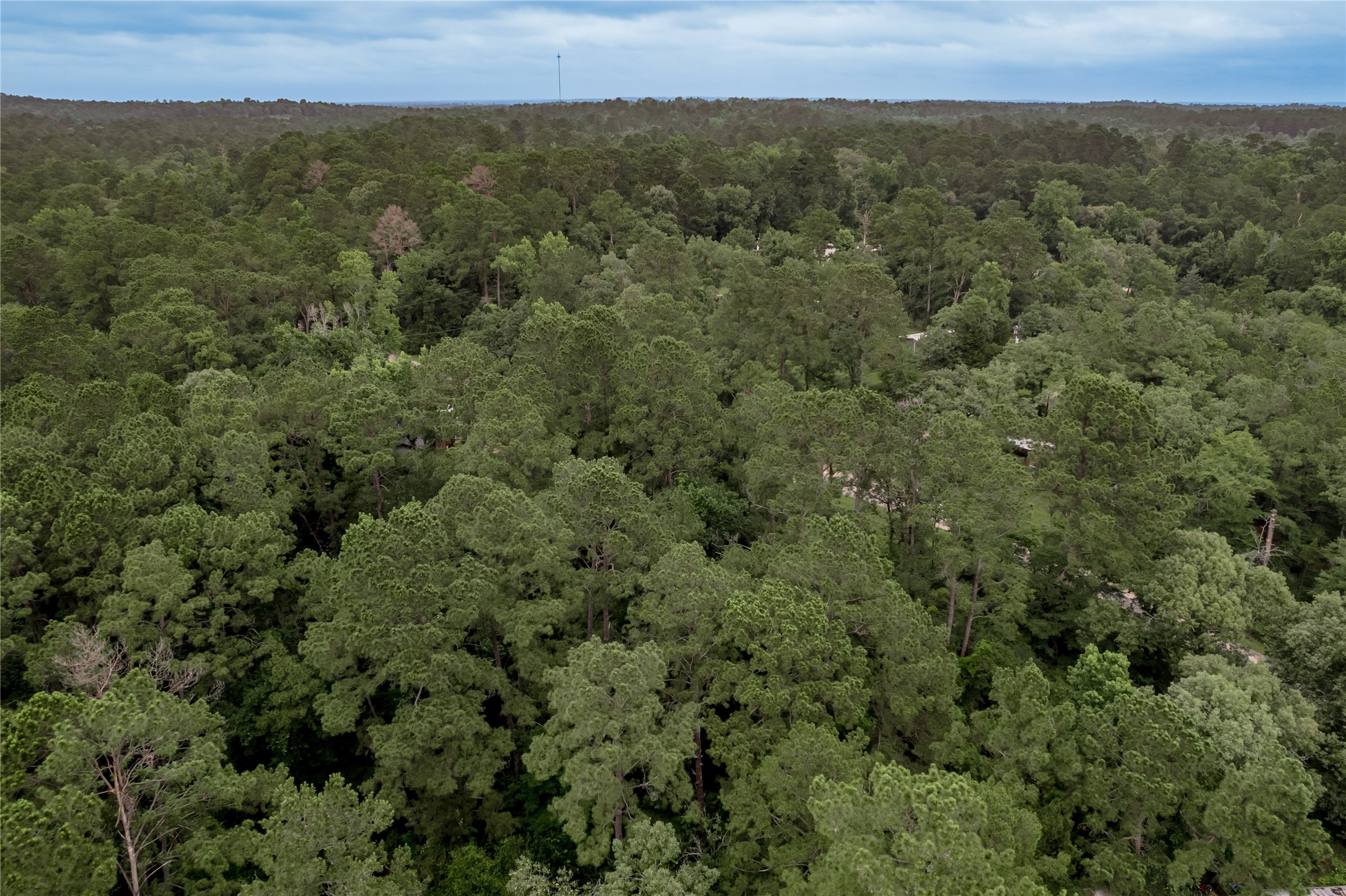 Lot 56 Post Oak Circle Trinity, TX 75862 - Photo 29 of 33