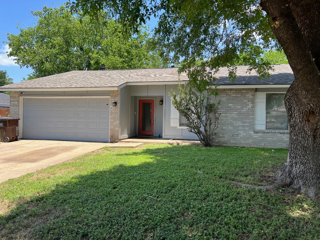 a backyard of a house with plants and large tree