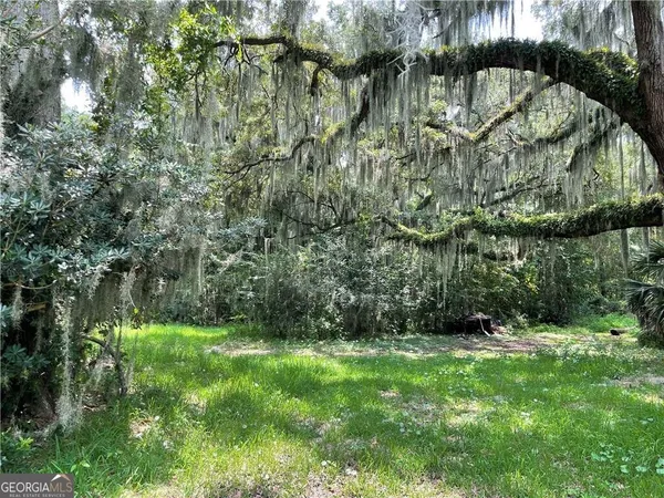 a view of outdoor space and yard