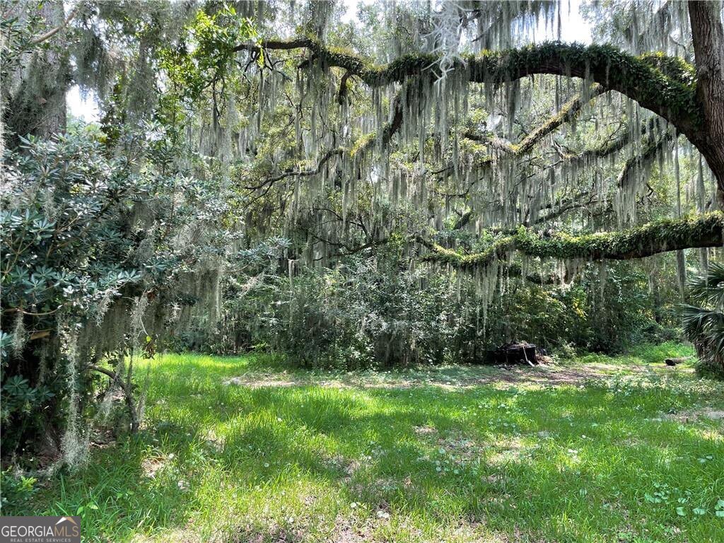 a view of outdoor space and yard