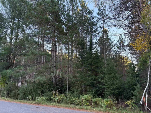 $45,000 | Lot 1 Plantation, Pelican Lake, WI 54463