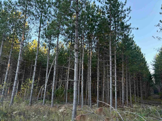 $45,000 | Lot 1 Plantation, Pelican Lake, WI 54463