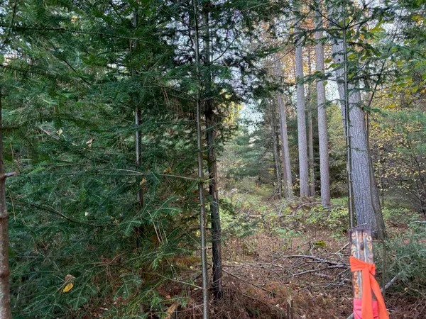 $45,000 | Lot 1 Plantation, Pelican Lake, WI 54463