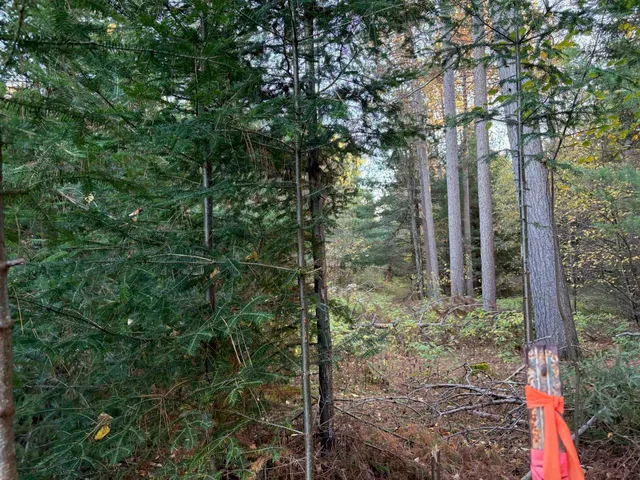 $45,000 | Lot 1 Plantation, Pelican Lake, WI 54463