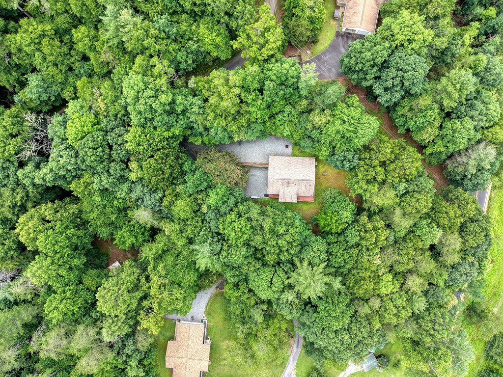2228 Walls Mount Road Hiawassee, GA 30546 - Photo 48 of 53 Aerial Drone Image