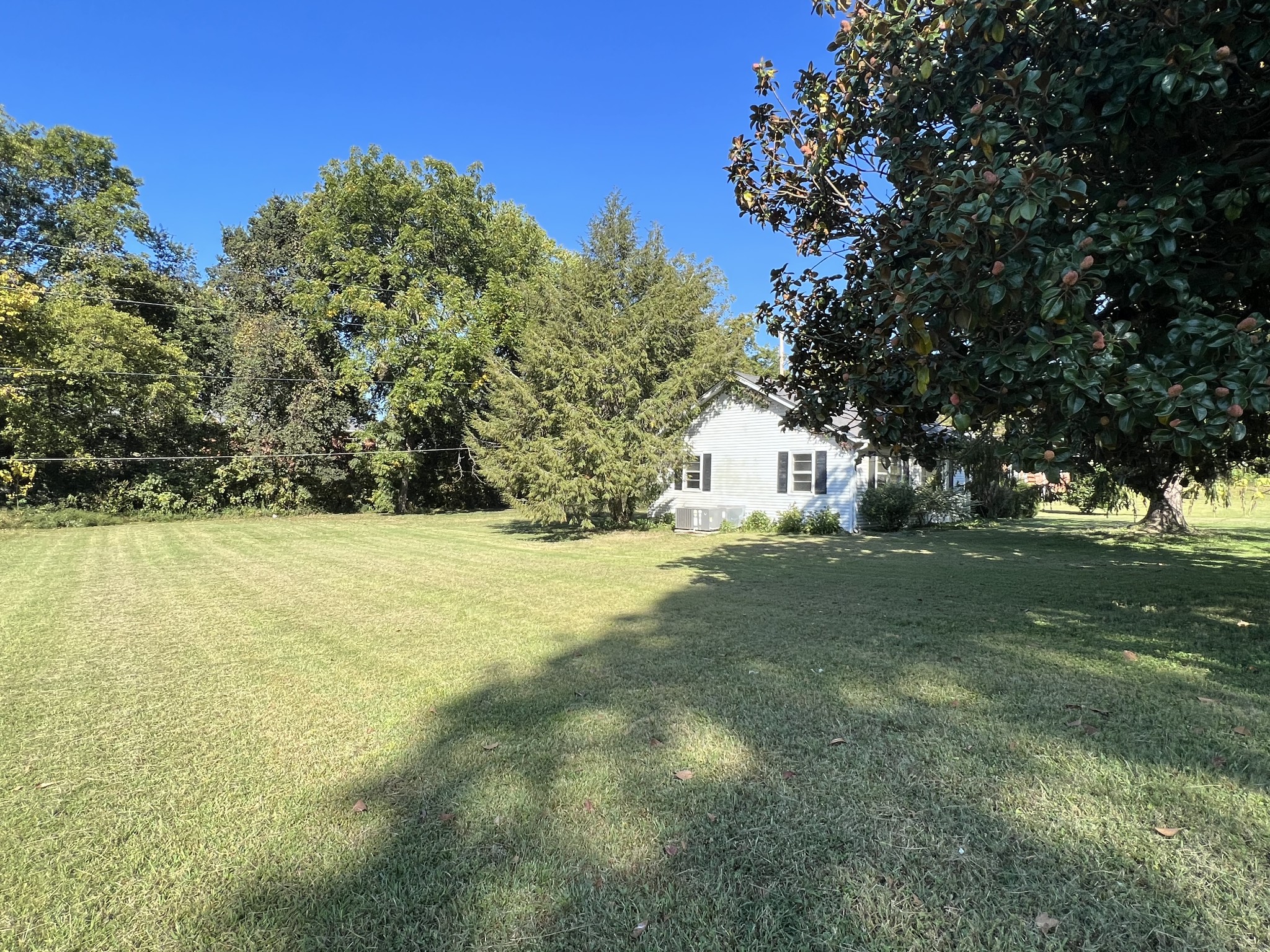 1255 Main Street Pleasant View, TN 37146 - Photo 5 of 14 a view of yard with tree