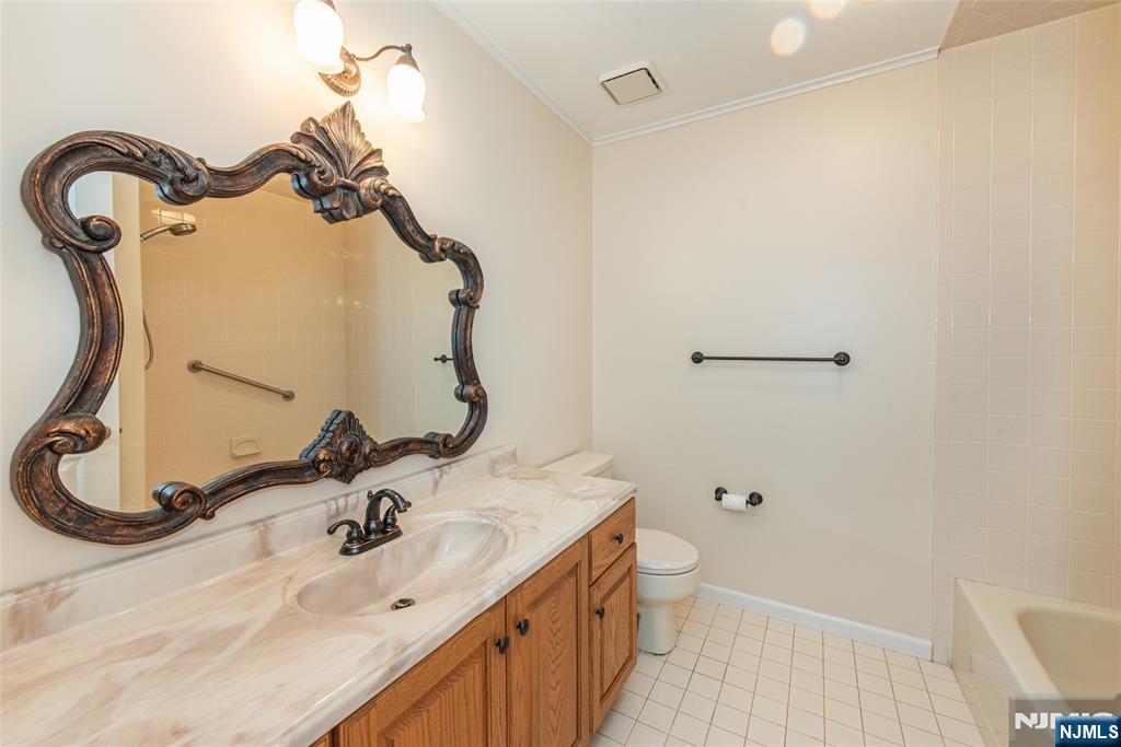 1 Old Timber Court Roxbury Township, NJ 07847 - Photo 15 of 34 a bathroom with a sink and mirror with toilet