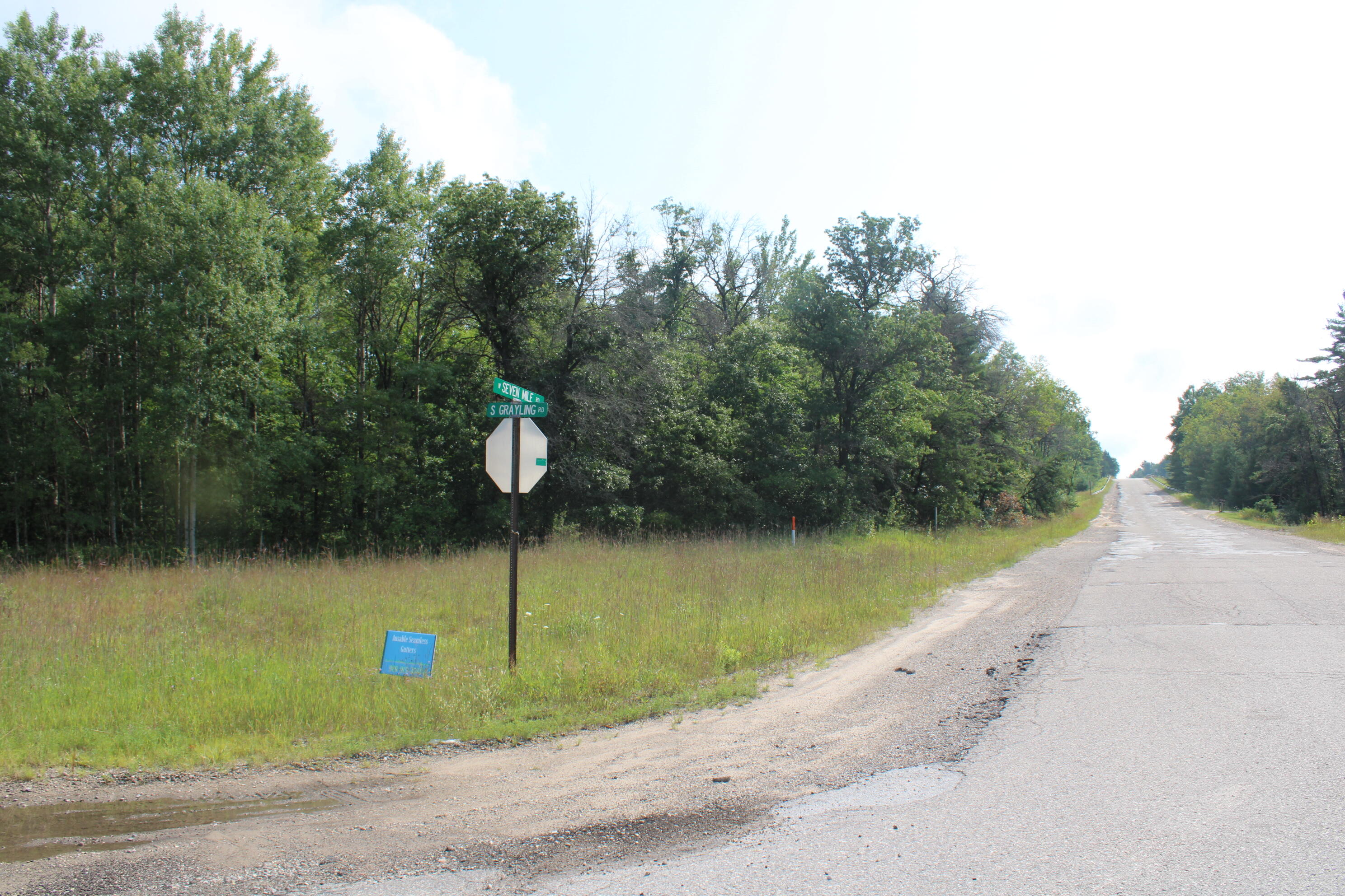 -vl South Grayling Road Grayling, MI 49738 - Photo 25 of 26 IMG_6148