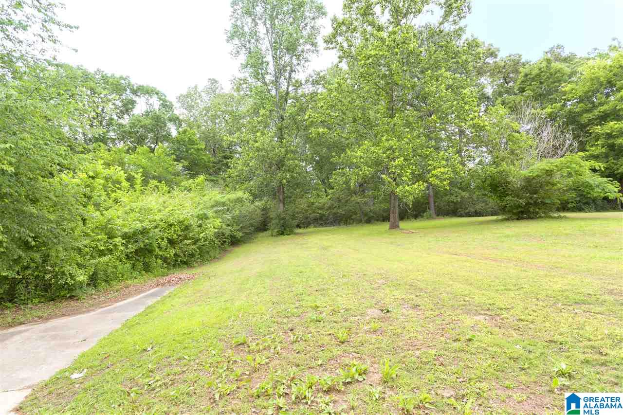 2403 Mt Olive Road Mount Olive, AL 35117 - Photo 23 of 25