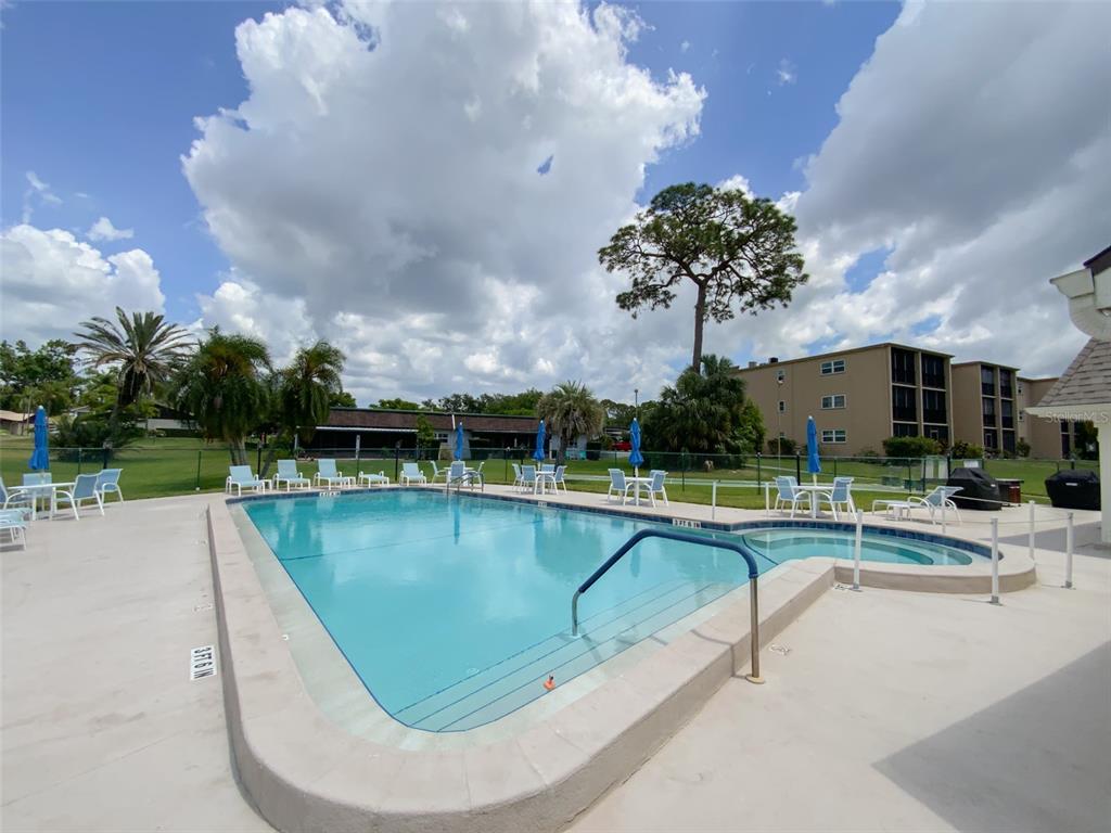1370 Heather Ridge Boulevard, Unit 204 Dunedin, FL 34698 - Photo 30 of 37 a view of a swimming pool with a patio