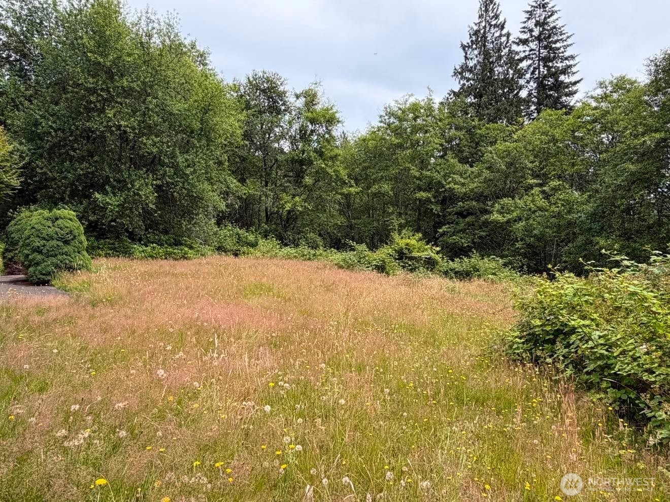 244 North Dubois Road Ariel, WA 98603 - Photo 34 of 34