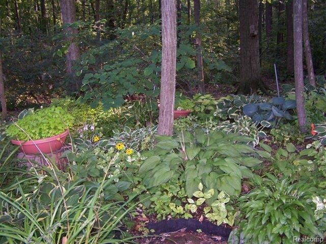 3332 Fulham Drive Rochester, MI 48309 - Photo 22 of 25 Landscaping